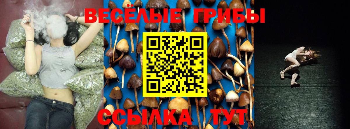 Новоуральск  Галлюциногенные грибы GOLDEN TEACHER  Вход с VPN 