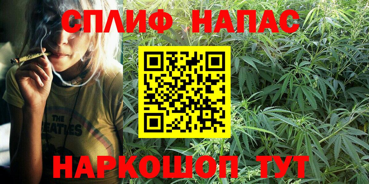 Бошки марихуана конопля Новоуральск